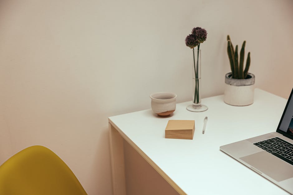 Clean modern workspace with plants and ceramics